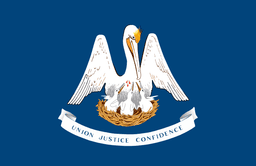 LA flag