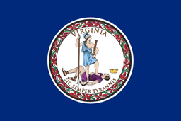 VA flag